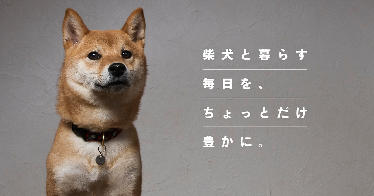 柴犬ライフ 国内最大の柴犬メディア 柴犬ライフ Shiba Inu Life