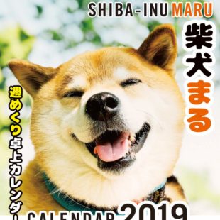 2019年 柴犬まる週めくり卓上カレンダー
