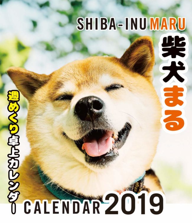 2019年 柴犬まる週めくり卓上カレンダー