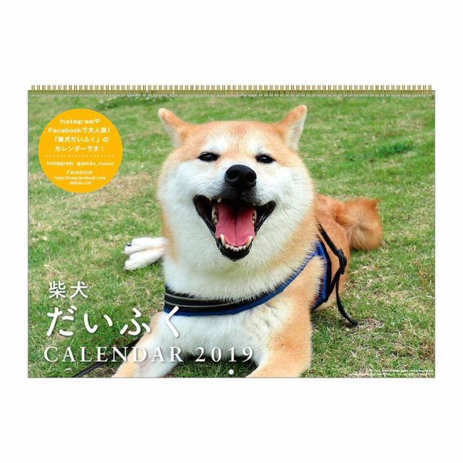 2019年 柴犬だいふく カレンダー