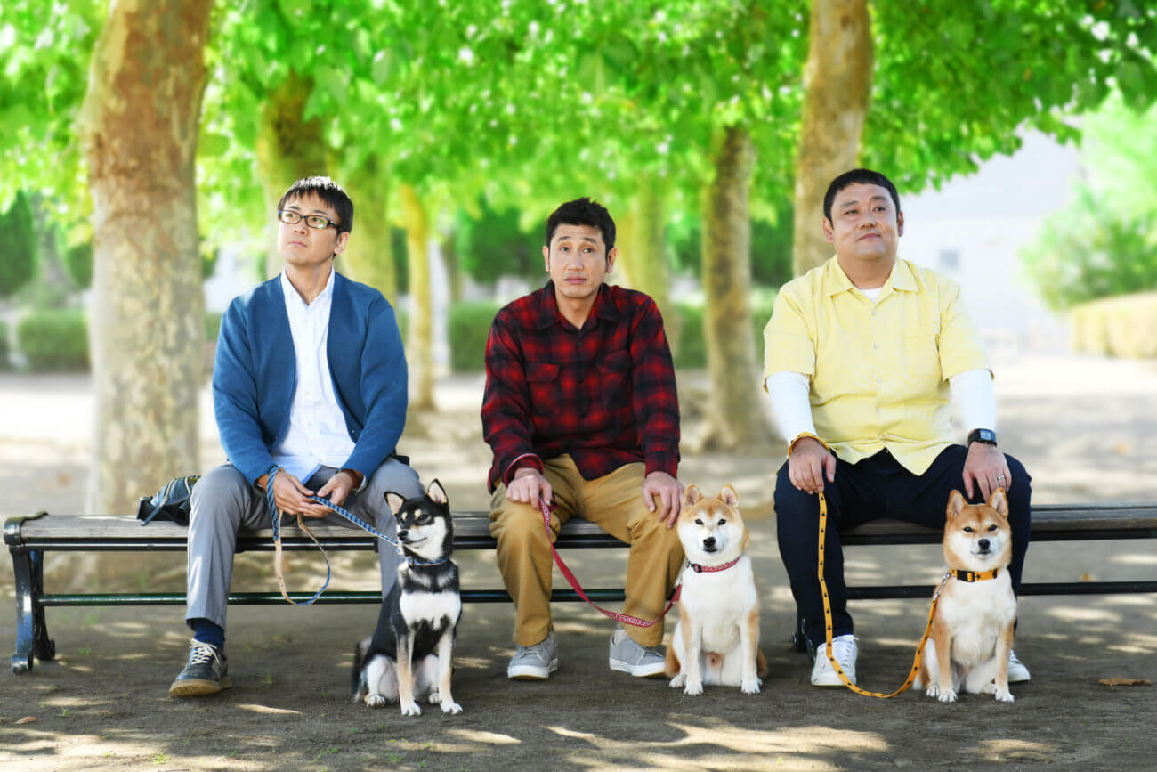 おっさん3人 柴犬3頭 が公園でダラダラ喋るだけの会話劇 柴公園 映画 ドラマ公開情報 柴犬ライフ Shiba Inu Life