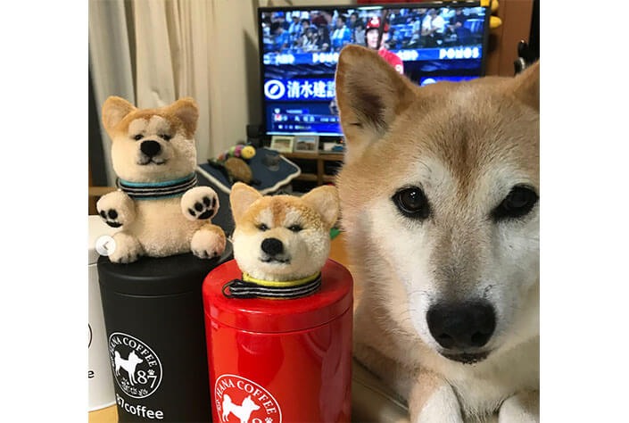 柴犬ぽんぽん 作品集 この冬ハンドメイドに挑戦してみる 柴犬ライフ Shiba Inu Life