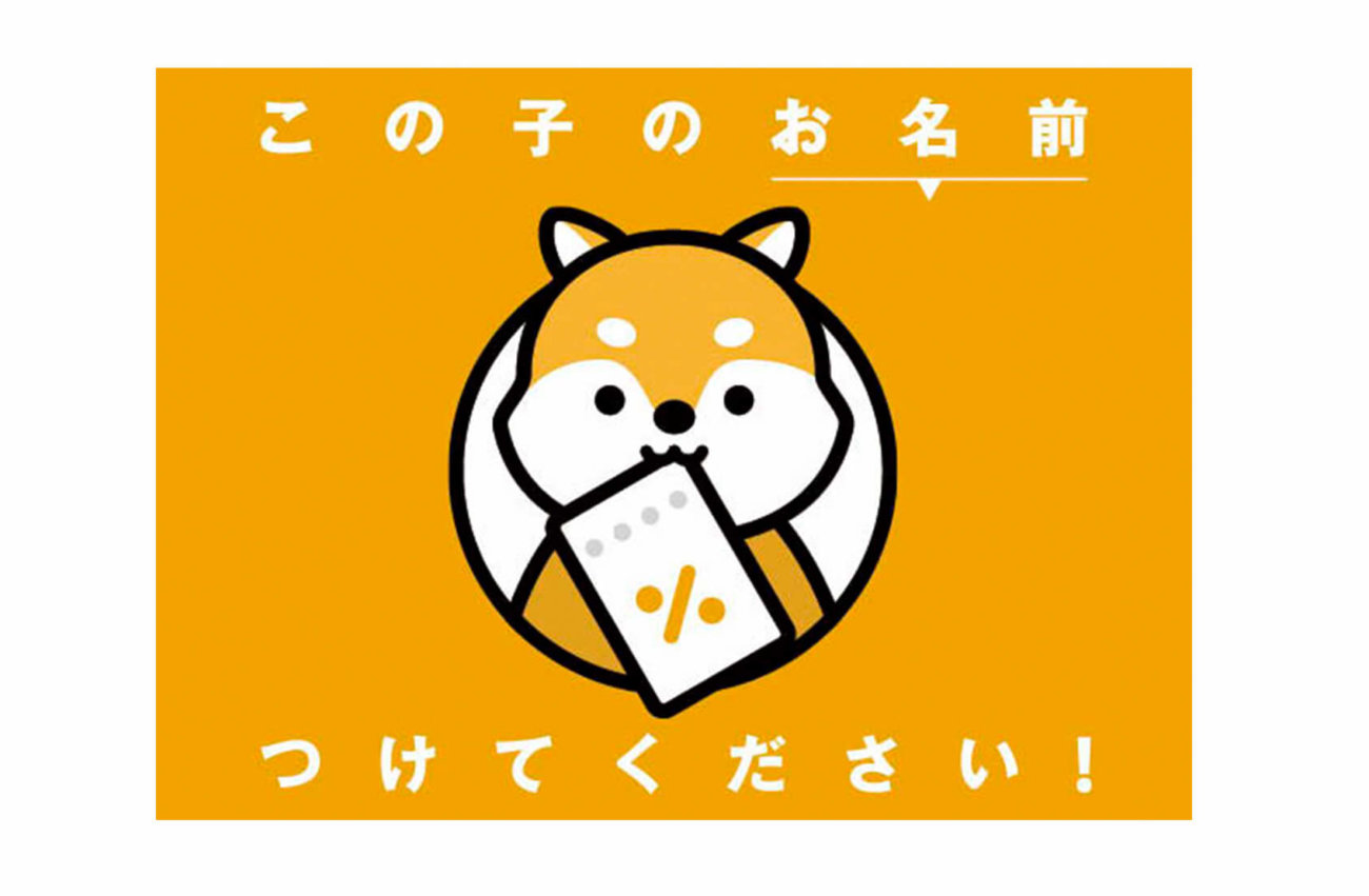 お願い この柴犬の名前を決めてください 名前がないんです オトクル 柴犬ライフ コラボキャンペーン 柴犬ライフ Shiba Inu Life