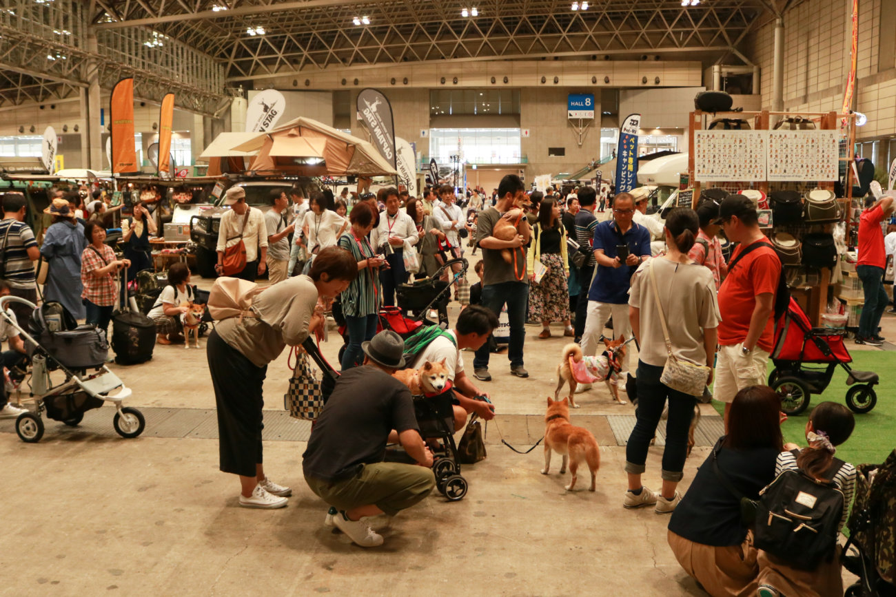 柴犬,カートラジャパン2019
