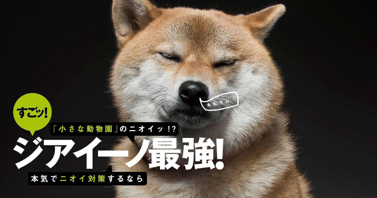 犬と暮らす人のおウチは 小さな動物園のニオイ 本気のニオイ対策を考えた結果 ジアイーノ が最強すぎた件 柴犬ライフ Shiba Inu Life