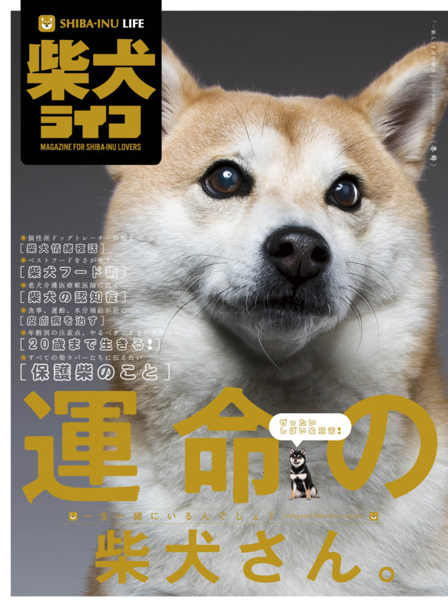 雑誌版『柴犬ライフ』冬号2020