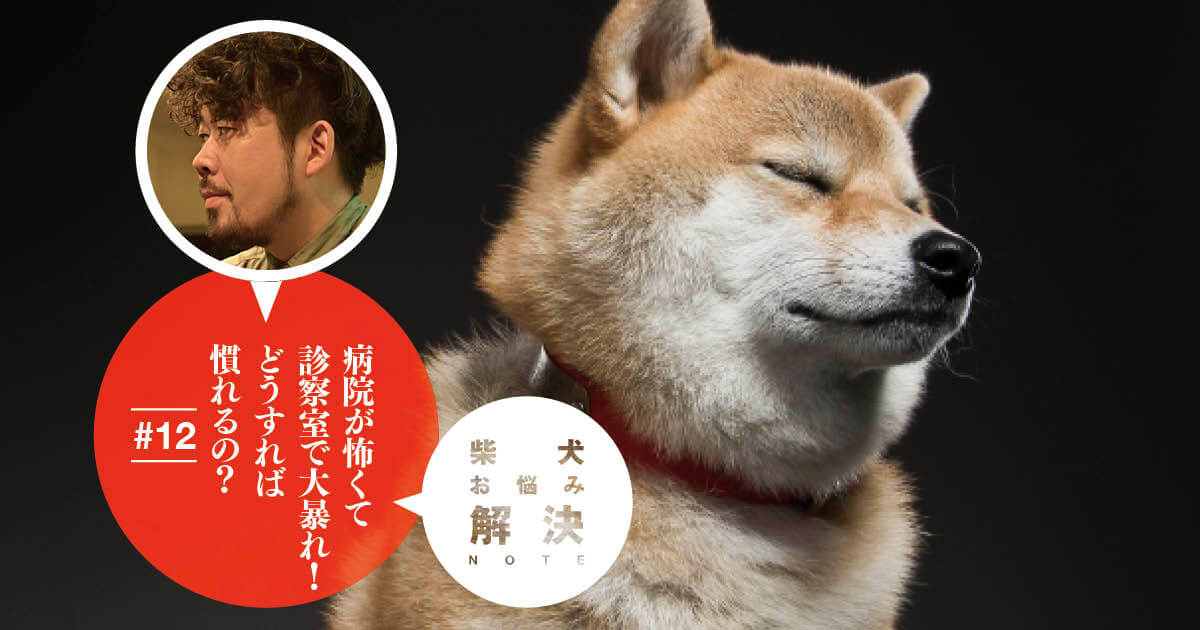 柴犬お悩み解決note 12 病院が怖くて大暴れする元保護犬 どうすれば慣れる ドッグトレーナー 小野洋平がズバリ回答 柴犬ライフ Shiba Inu Life