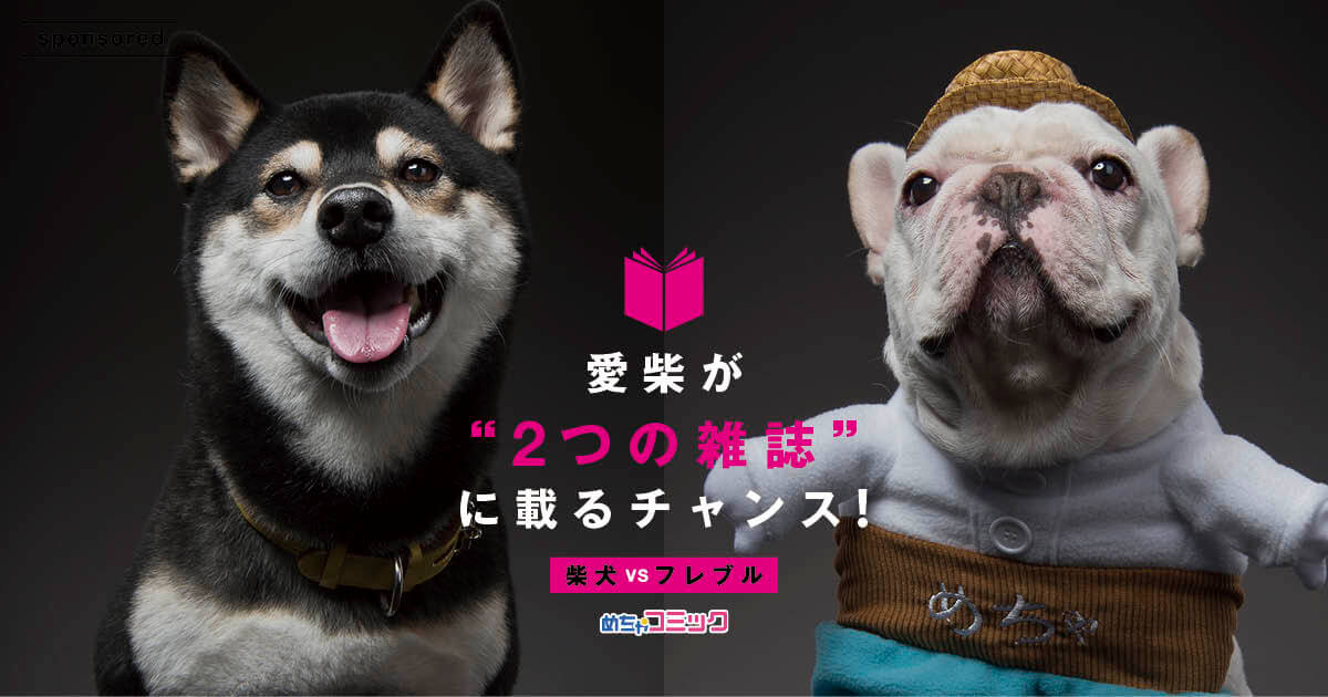 柴犬vsフレブル 連動スペシャル企画 愛柴が 2つの雑誌 に載るチャンス 柴犬ライフ Shiba Inu Life
