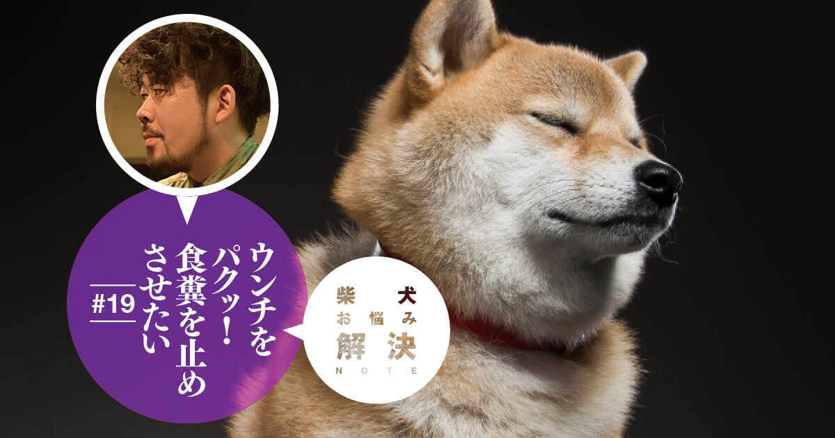 柴犬お悩み解決note 19 ウンチをパクッ 食糞を止めさせたい ドッグトレーナー 小野洋平がズバリ回答 柴犬ライフ Shiba Inu Life