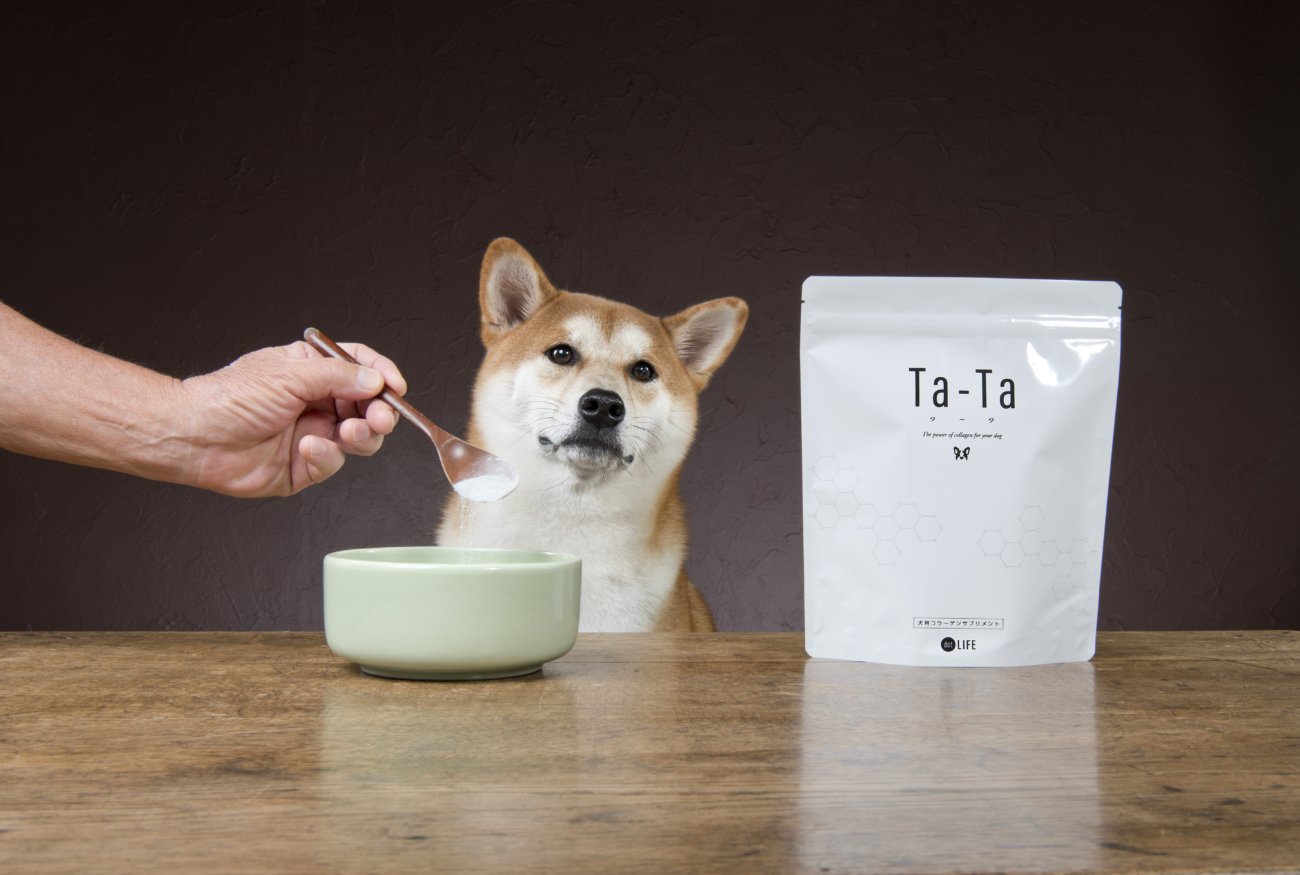 が健康維持を実感 純度100 の犬用コラーゲンサプリ Ta Ta タータ を作りました 柴犬ライフ Shiba Inu Life