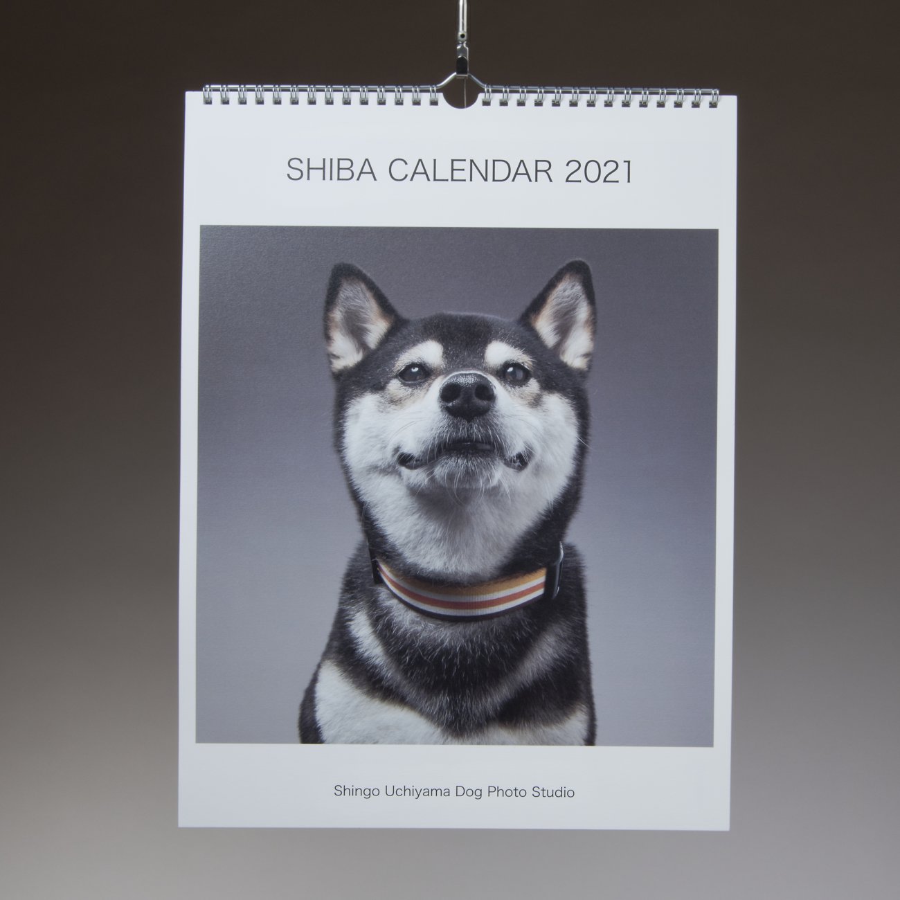 柴犬,カレンダー,内山慎吾