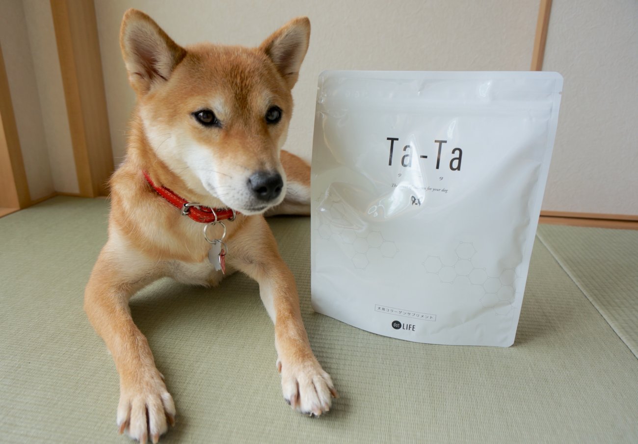犬用コラーゲンサプリ,Ta-Ta,タータ