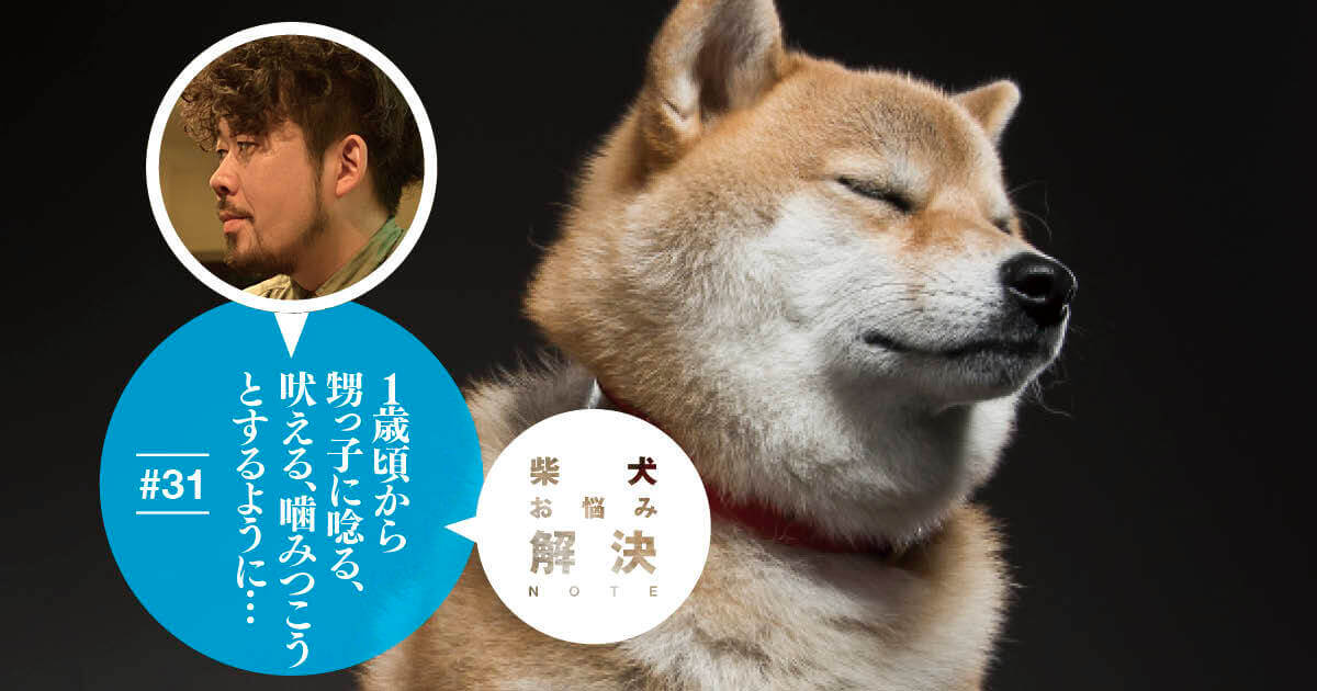 柴犬お悩み解決note 31 成犬になったら甥っ子に唸る 吠える 噛みつこうとするように ドッグトレーナー 小野洋平がズバリ回答 柴犬ライフ Shiba Inu Life