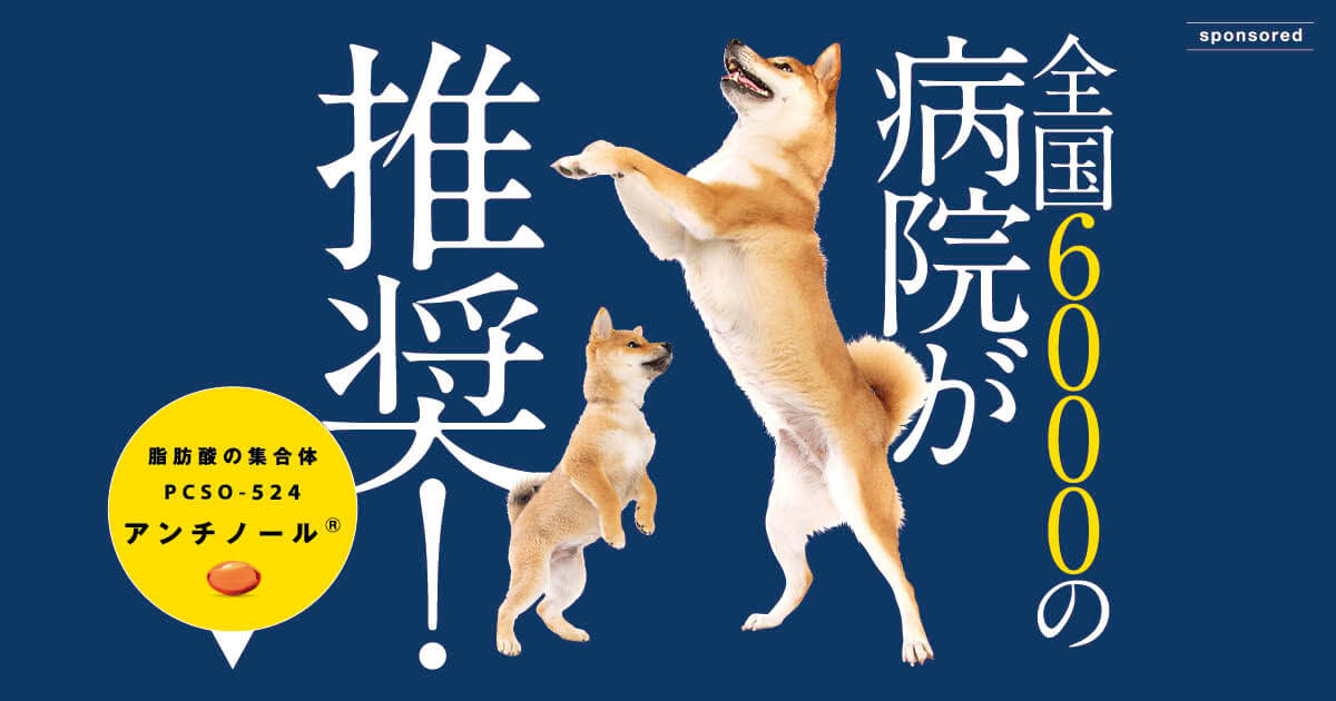 全国6 000軒以上の動物病院が推奨 柴犬に与えたい特別なサプリメント アンチノール 柴犬ライフ Shiba Inu Life