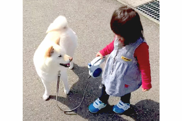 ゆっくり行こうね リードを持つ赤ちゃんの歩幅に合わせつつ先導する柴犬 その優しい心にジーンときた 動画 柴犬ライフ Shiba Inu Life