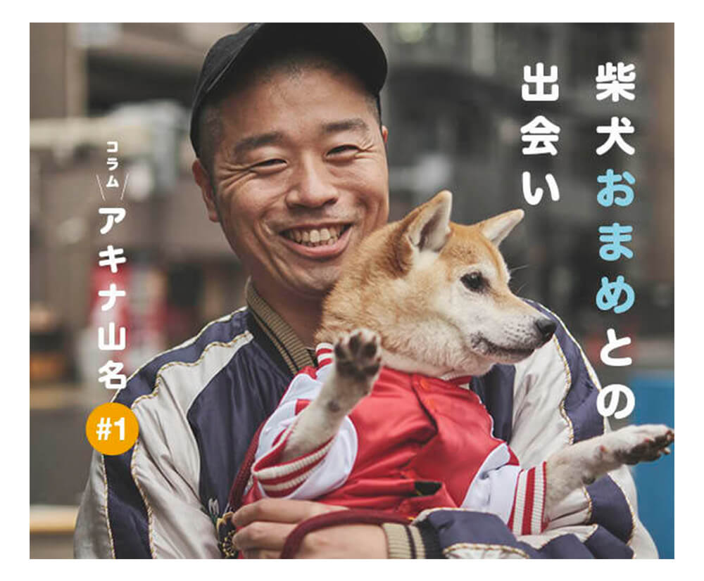 柴犬おまめとの出会い ーアキナ山名とおまめのラブい日々 1 柴犬ライフ Shiba Inu Life
