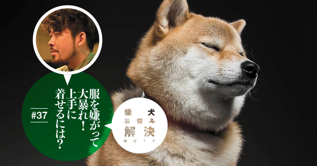 柴犬しつけ マナー一覧 柴犬ライフ Shiba Inu Life