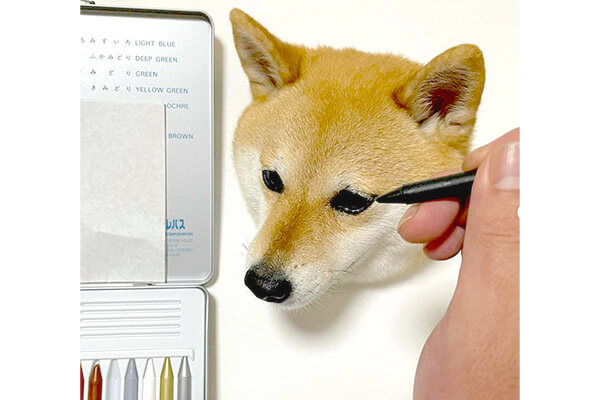 超リアルな柴犬の絵だと思ったら リアルガチの柴犬だった なんだこの芸術感溢れる柴犬さんの姿は 柴犬ライフ Shiba Inu Life