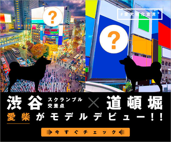 ﾆｺ おいおいめっちゃ甘えん坊じゃないか 家で赤ちゃんモードになった柴犬さんたち 可愛すぎて震える 動画 柴犬ライフ Shiba Inu Life