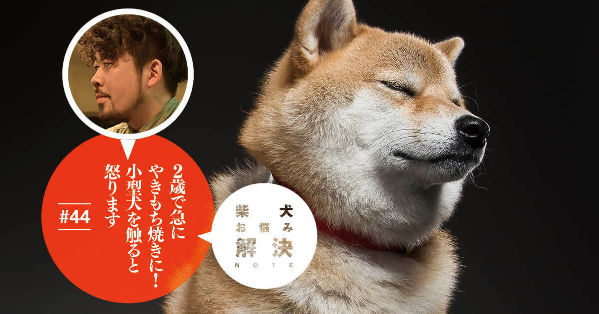 柴犬お悩み解決note 44 2歳で急にやきもち焼きに 小型犬を触ると怒ります ドッグトレーナー 小野洋平がズバリ回答 柴犬ライフ Shiba Inu Life