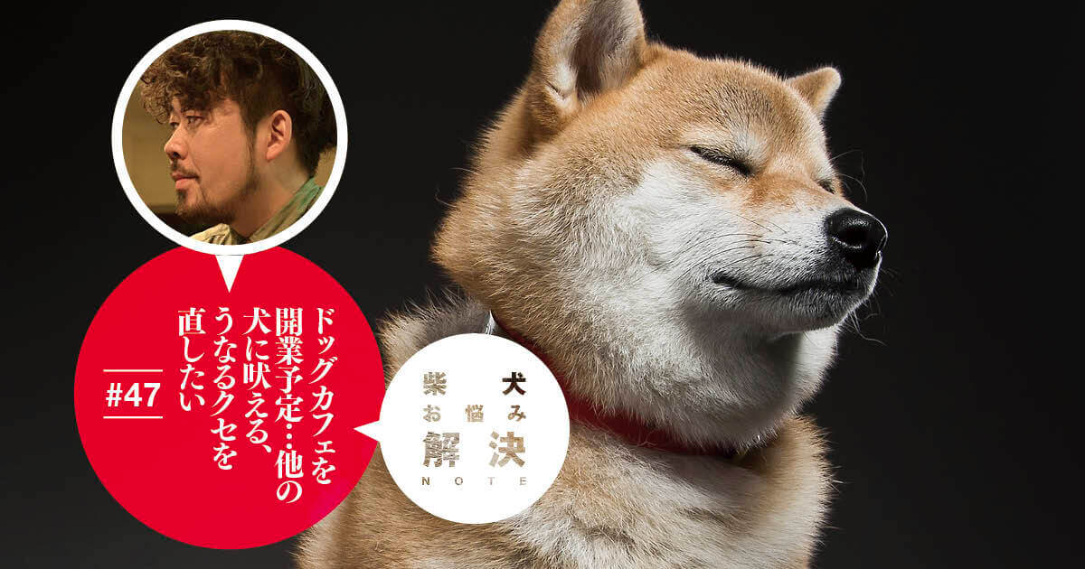 柴犬お悩み解決note 47 ドッグカフェを開業予定 他の犬に吠える うなるクセを直したい ドッグトレーナー 小野洋平がズバリ回答 柴犬ライフ Shiba Inu Life 柴犬お悩み解決note 47 ドッグカフェを開業予定 他の犬に吠える うなるクセを直したい ドッグトレーナー 小野洋平がズバリ回答 柴犬ライフ Shiba Inu Life