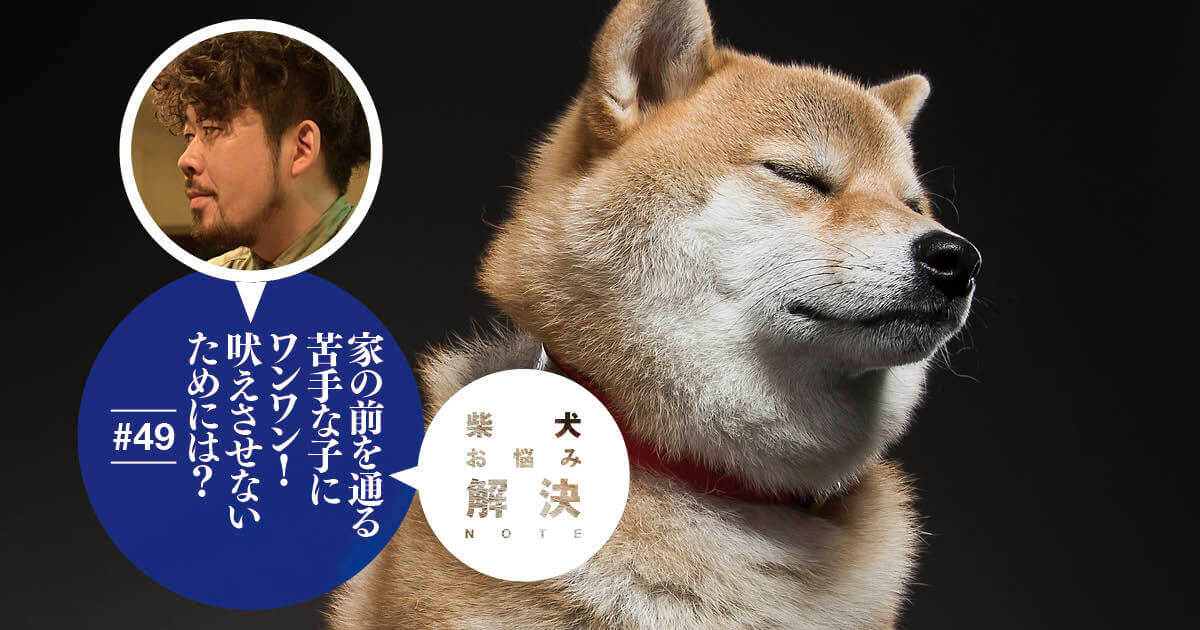 柴犬お悩み解決note 49 窓の外を散歩する犬に向かって吠えるのを止めさせたい ドッグトレーナー 小野洋平がズバリ回答 柴犬ライフ Shiba Inu Life