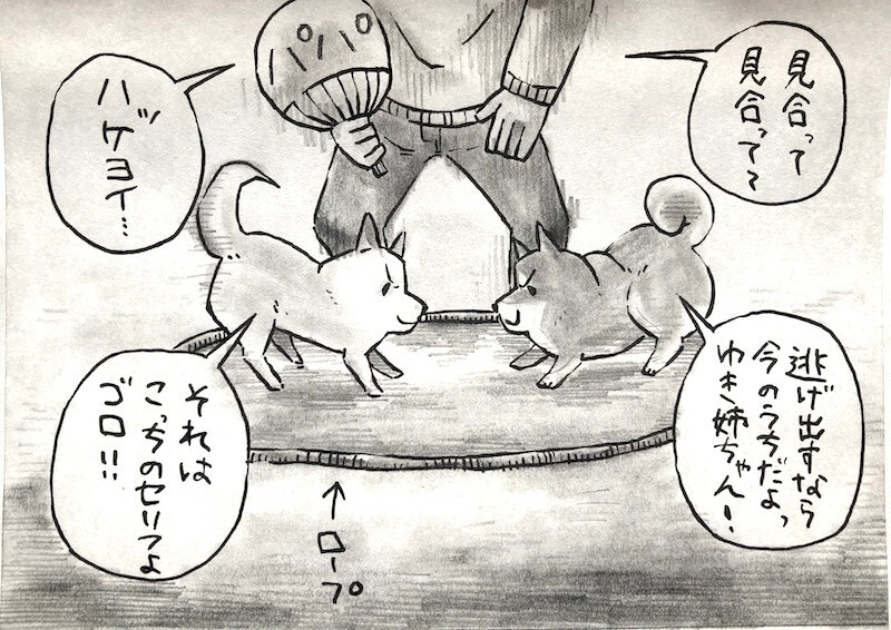 柴犬漫画