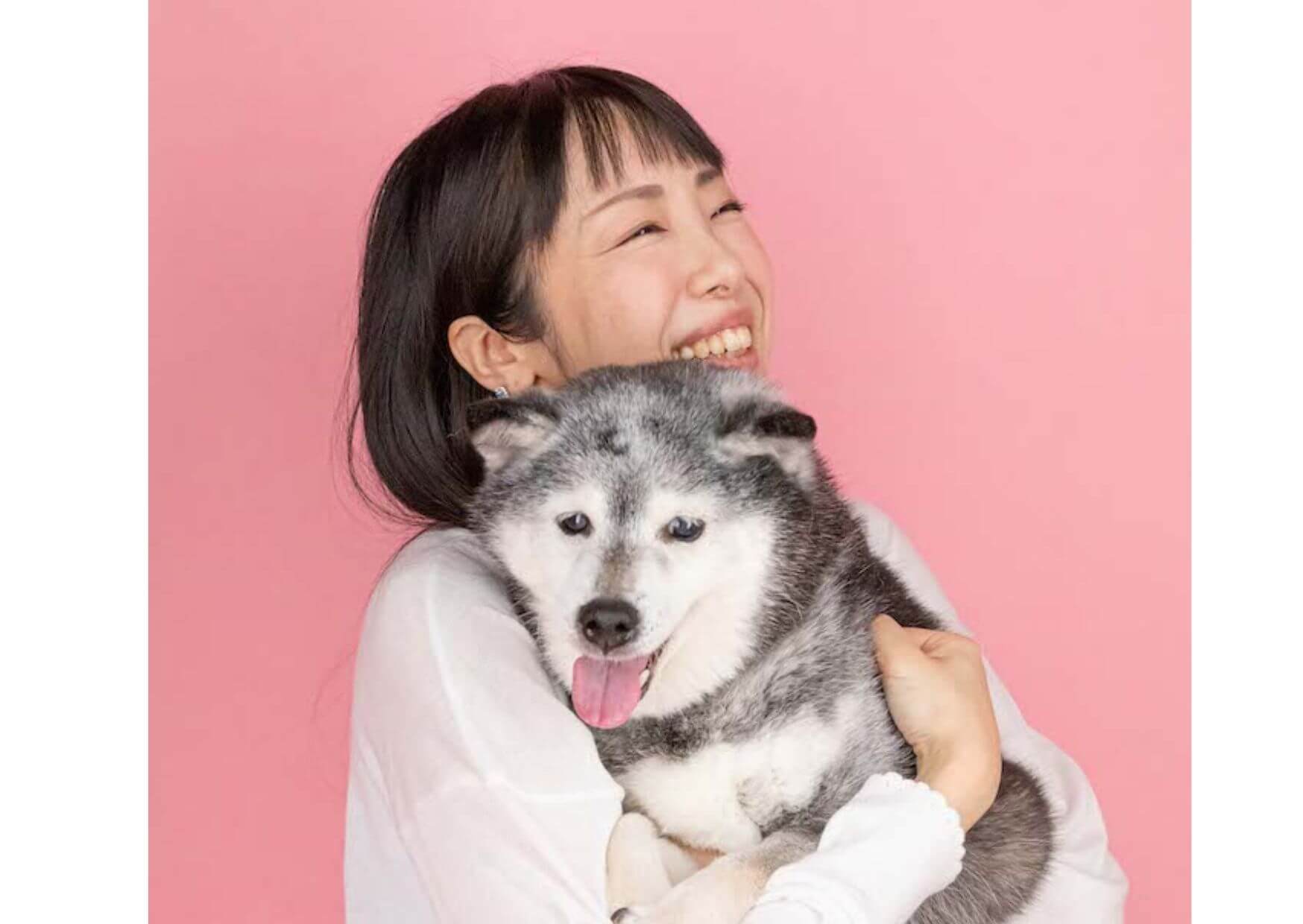 取材 もふもふパピー顔の17歳 長寿の秘訣は 貼るサプリ 若ワンコとの交流 28ゆえ 柴犬ライフ Shiba Inu Life