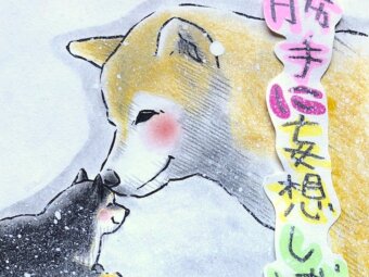 勝手に妄想しば