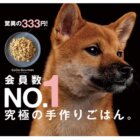 【会員数No.1の圧倒的王者】18歳の愛犬が食欲を取りもどした「ココグルメ」の力 。「333円」キャンペーン実施中！