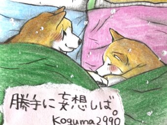 柴犬