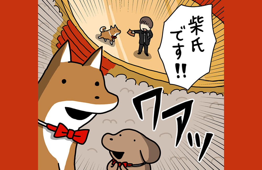【マンガ連載】こいぬと柴犬#26「柴犬の受賞」作：うかうか | 柴犬ライフ [Shiba-Inu Life]