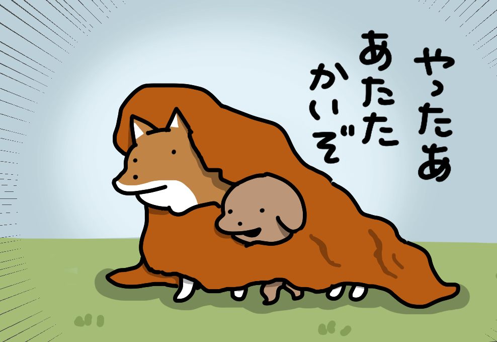 【マンガ連載】こいぬと柴犬#34「柴犬の毛布」作：うかうか | 柴犬ライフ [Shiba-Inu Life]