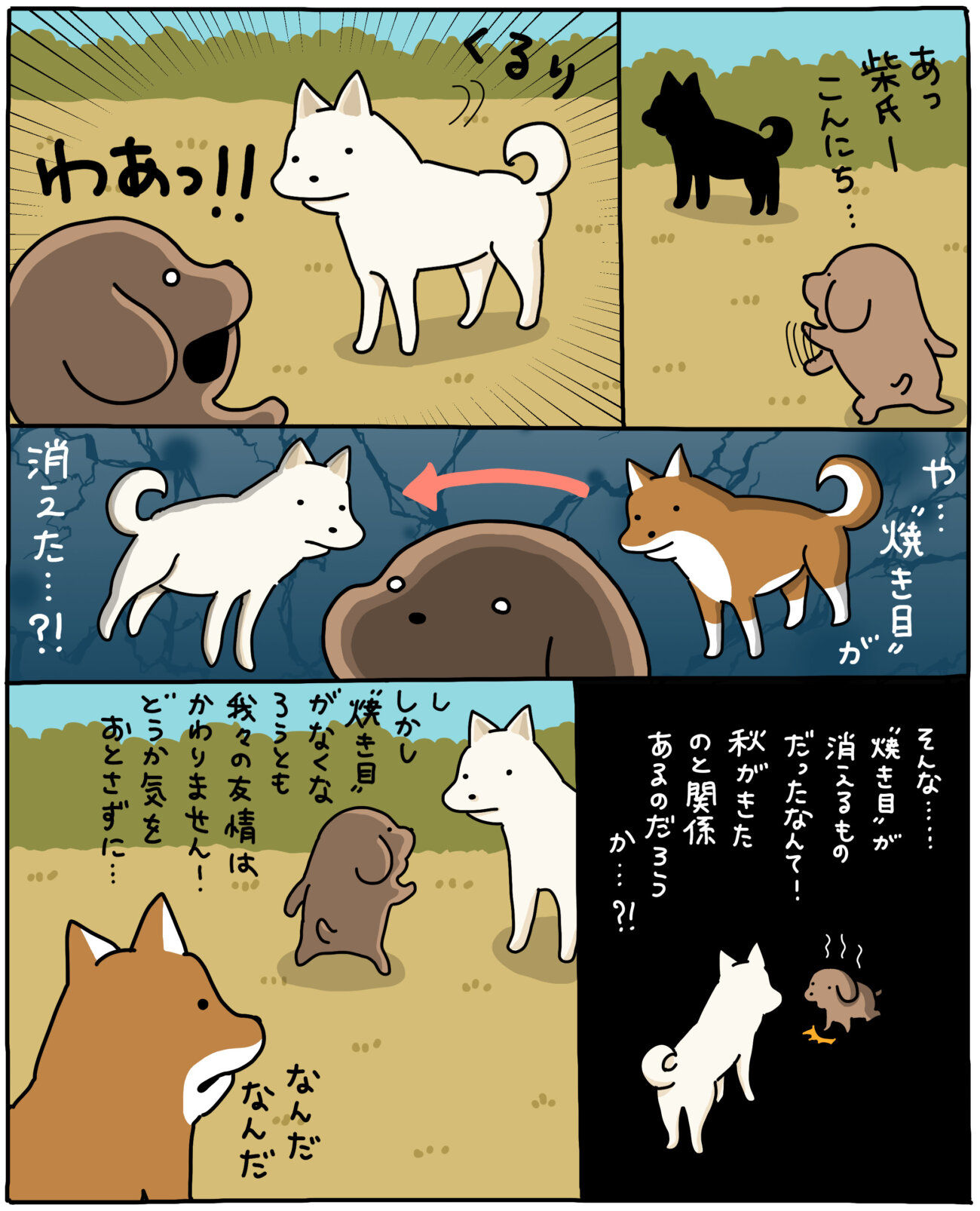 【マンガ連載】こいぬと柴犬#44「こいぬと白柴」作：うかうか | 柴犬ライフ [Shiba-Inu Life]