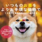 【動物病院へ行かずに薬が手に入る！】フィラリア対策の商品も扱う個人輸入代行サイト「うさパラ」が超便利