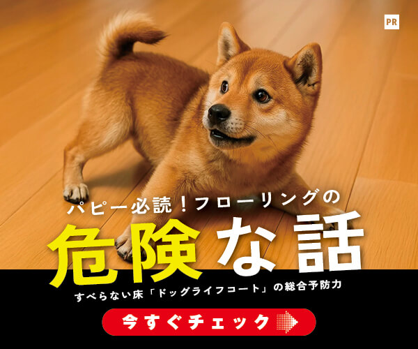 柴犬,su-bee