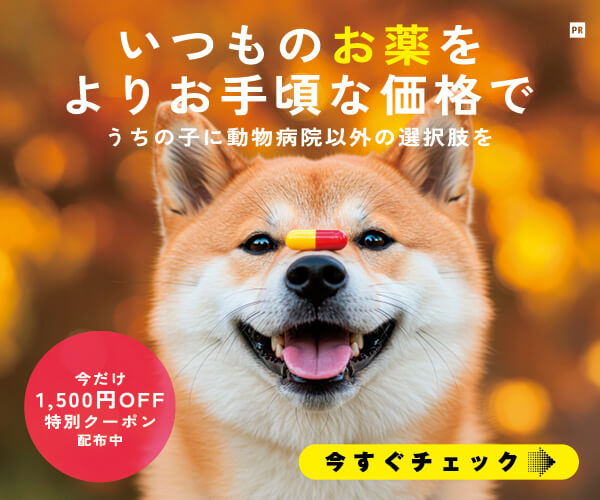 柴犬,su-bee