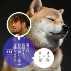柴犬