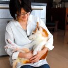 柴犬,老犬