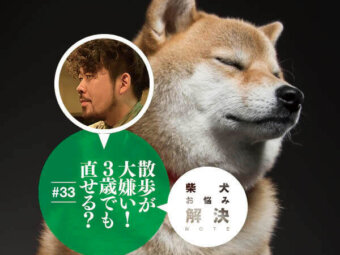 お悩み相談