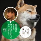柴犬,お悩み相談