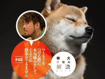 お悩み相談